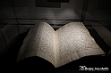 VBS_4082 - Mostra Il Rinascimento in Piemonte - Castello della Rovere - Vinovo 